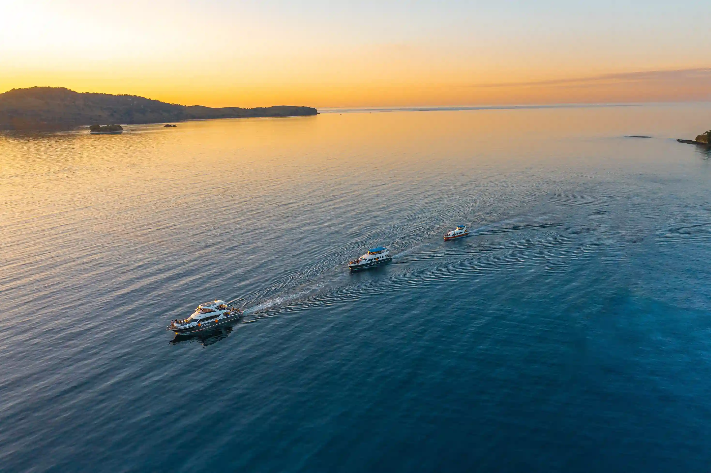 Speedboats on Komodo Island | Labuan Bajo Express